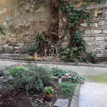 Apartment Mysterious Garden